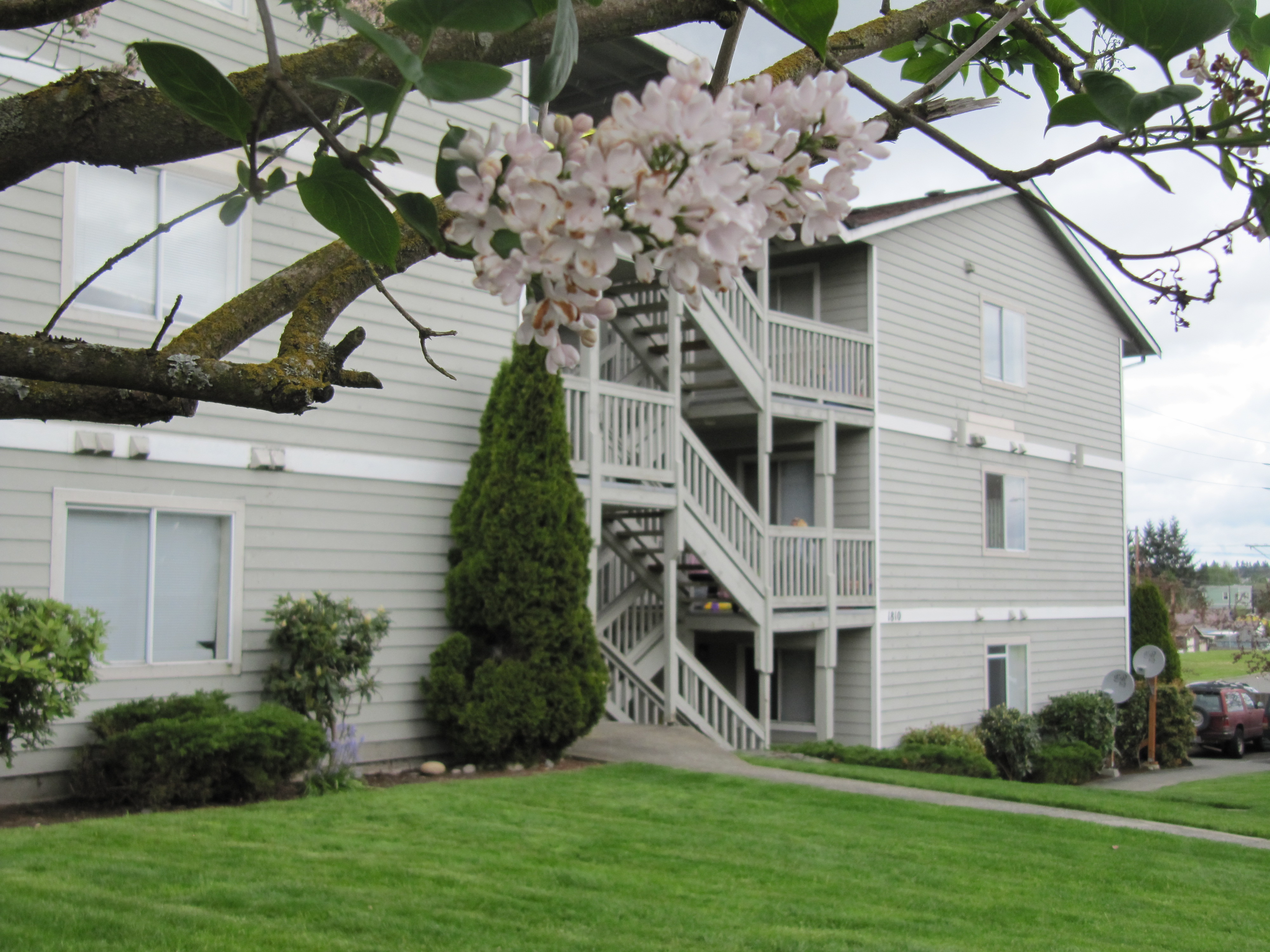 North Everett Apartments/Williams Investments 3015 95th St Everett, WA